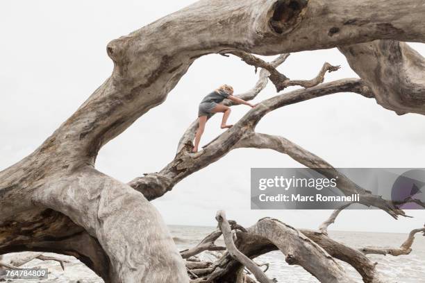 caucasian girl climbing on driftwood on beach - drijfhout stockfoto's en -beelden