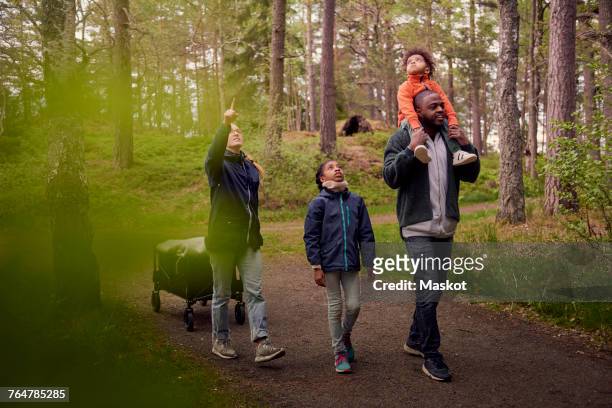 woman pointing up to family while hiking in forest - forest walking front stock pictures, royalty-free photos & images