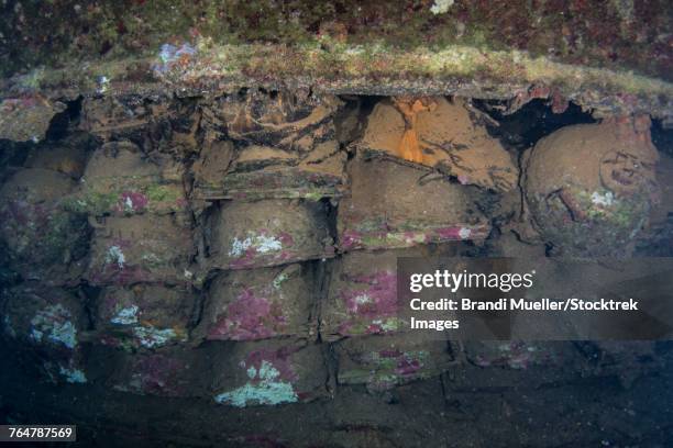 land mines on the san francisco maru shipwreck, truk lagoon, micronesia. - undersea mines stock pictures, royalty-free photos & images