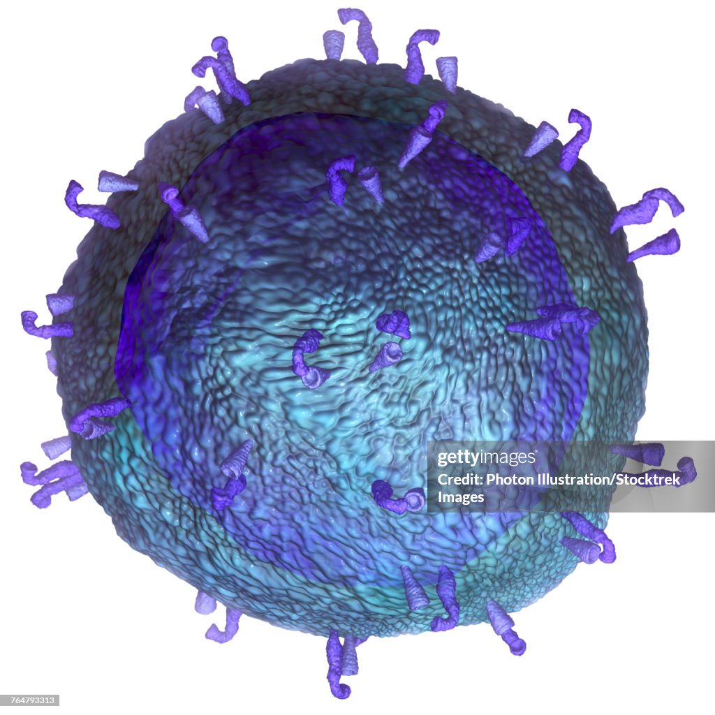 3D model of a T-cell, a key component of the immune system.