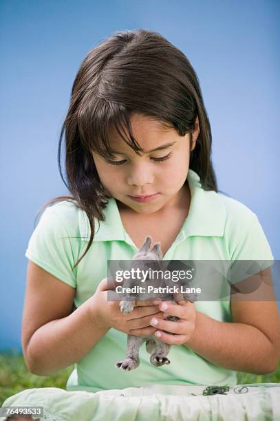Patrick Rabbit 123 Patrick Rabbitt Stock Photos, High-Res Pictures, and Images - Getty ...