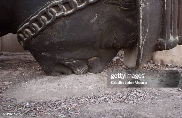 Giant statue of Saddam Hussein lies face down near the U.S. Embassy in the Green Zone September 3, 2007 in Baghdad, Iraq. The statue was one of four...