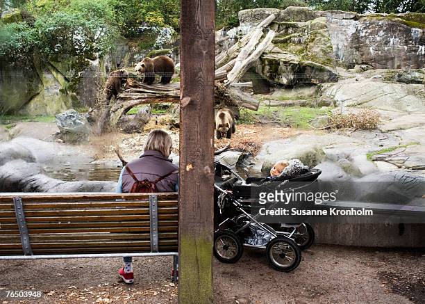 a mother and her baby looking at the bears at skansen in stockholm. - zoo cage stock-fotos und bilder