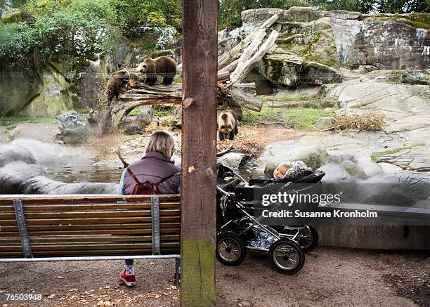 a mother and her baby looking at the bears at skansen in stockholm. - zoo cage stock pictures, royalty-free photos & images