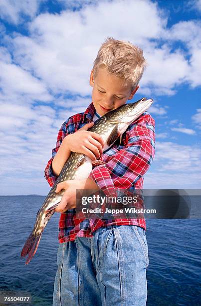 boy with a pike stockholm archipelago sweden. - pike fish stockfoto's en -beelden