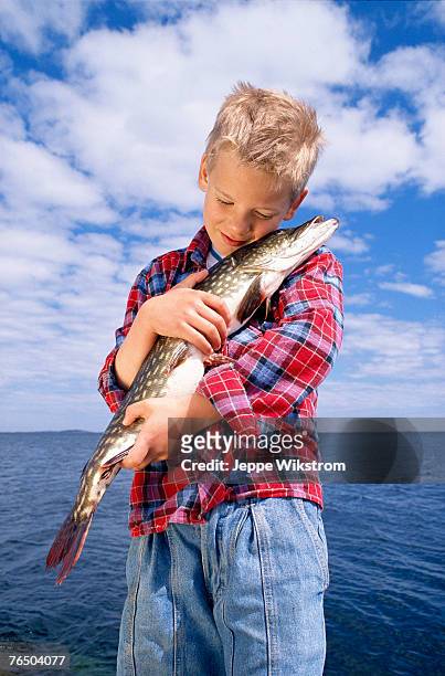 boy with a pike stockholm archipelago sweden. - 5 fishes stock pictures, royalty-free photos & images