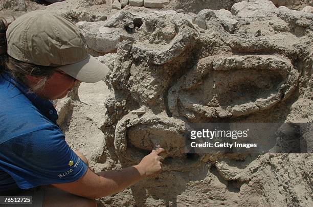 In this handout image from Hebrew University of Jerusalem, an archaeologist examines an ancient beehive found at the biblical-era site in Beth Shean...
