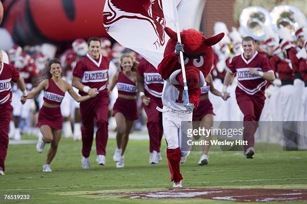 Arkansas Razorback cheerleaders and mascot lead the team onto the field before a game against the Troy Trojans at Donald W. Reynolds Stadium on...