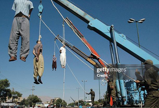 Four Iranian criminals hang limply from the nooses during public execution in the southern city of Shiraz, 950 kms south of Tehran, 05 September...