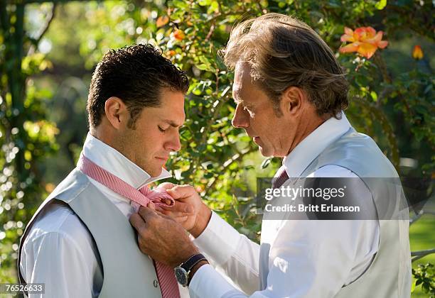 mature father helping groom with tie in garden - reception of france stock pictures, royalty-free photos & images