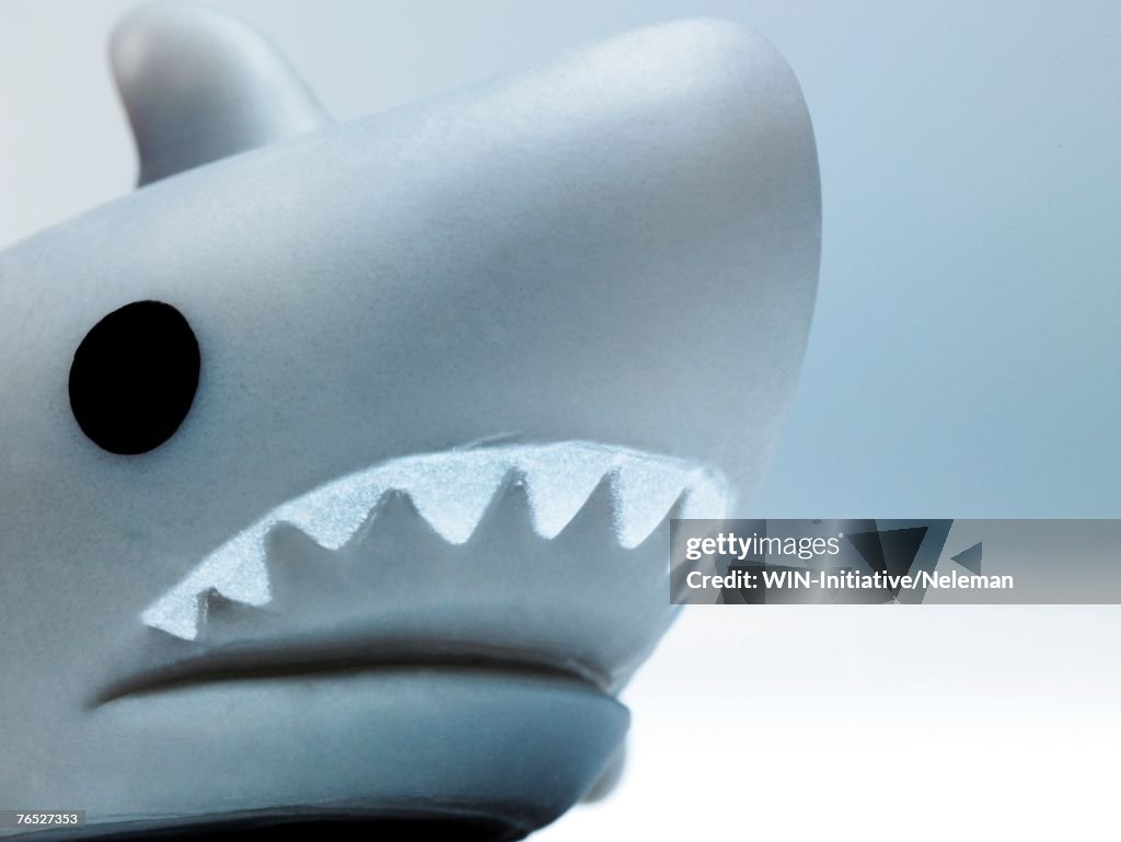 Toy shark