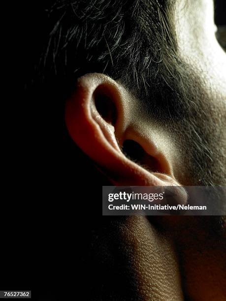 young man's ears, close-up - ears photos et images de collection