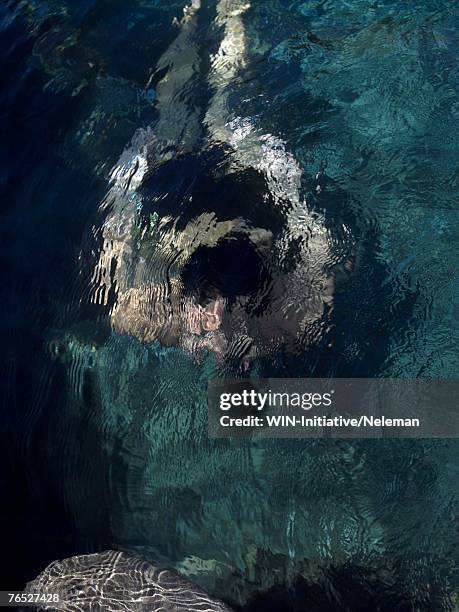 young man swimming, overhead view - pond stock pictures, royalty-free photos & images
