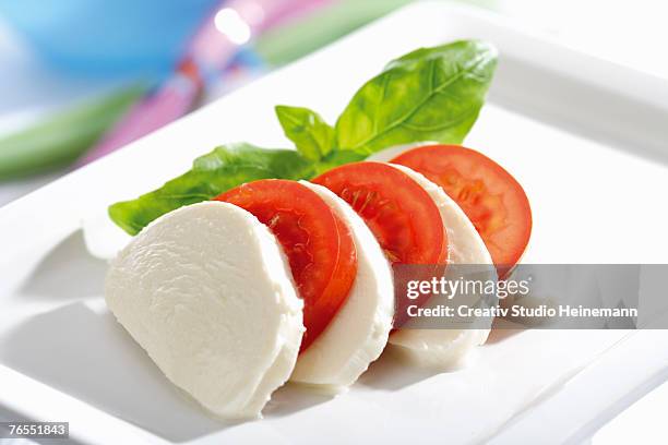 mozzarella cheese with tomatoes and basil, close-up - mozzarella stock-fotos und bilder