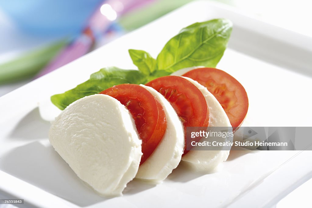 Mozzarella cheese with tomatoes and basil, close-up