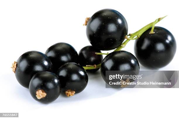 blackcurrants against white background, close-up - black currant stock pictures, royalty-free photos & images