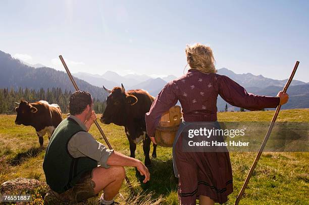 dairy maids on pasture - nordeuropäischer abstammung stock-fotos und bilder
