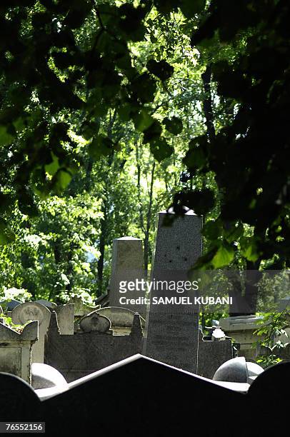 This photo dated 16 August 2007 shows gravestones in the Jewish cemetery in Wahring, Vienna. Forgotten behind high walls in Vienna, the Jewish...