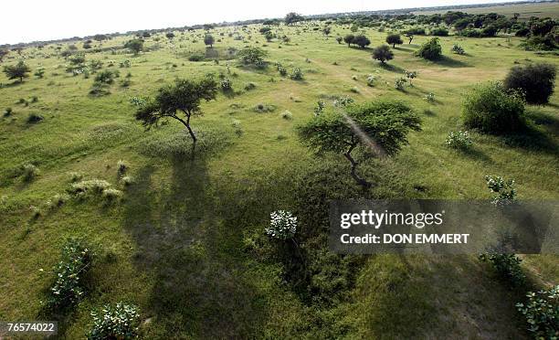 Grasslands along the shores of Lake Chad as the United Nations Secretary General Ban Ki-moon visits the area 07 September, 2007. Ban made the visit...