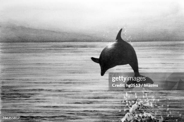 dolphin pencil drawing - dolphin jumping stock illustrations