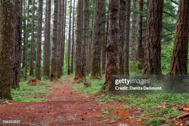 Springfield Oregon Green Springfield Oregon Photos and Premium High Res Pictures - Getty Images