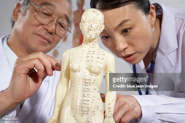 two doctors are examining. - acupuncture elderly stock pictures, royalty-free photos & images
