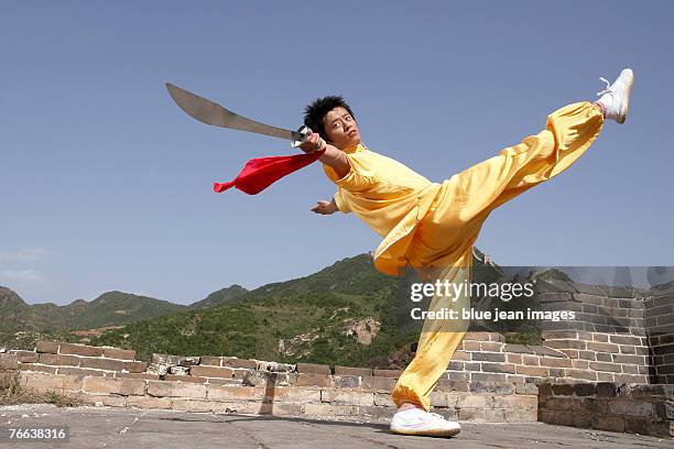 a martial artist practicing on the great wall of china. - kung fu photos et images de collection