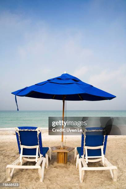 beach chairs and an umbrella. longboat key, sarasota, florida. - longboat key stock-fotos und bilder