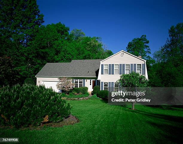 house and lawn - mezzanine stockfoto's en -beelden