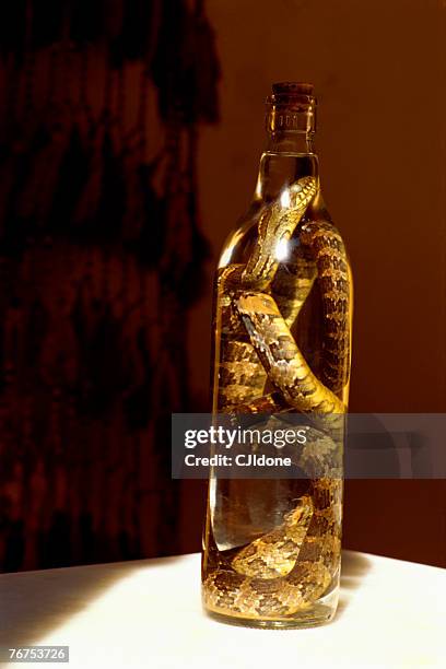 snake cachaca - cachaça stock pictures, royalty-free photos & images