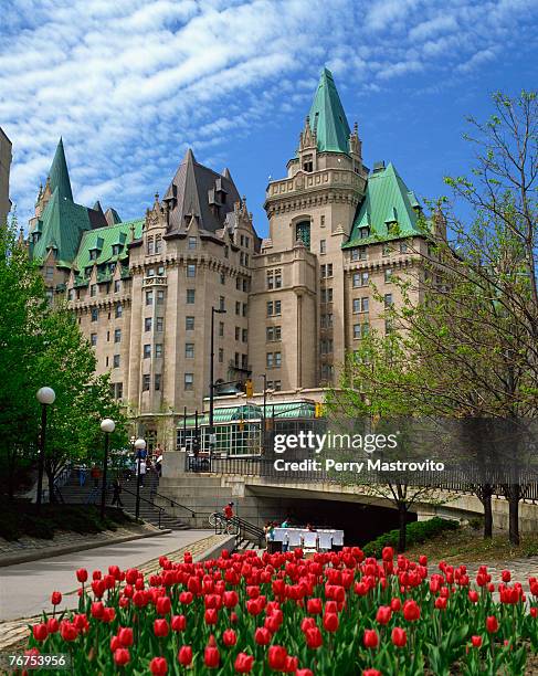 chateau laurier and tulips, ottawa, ontario, canada - ottawa tulips stock pictures, royalty-free photos & images