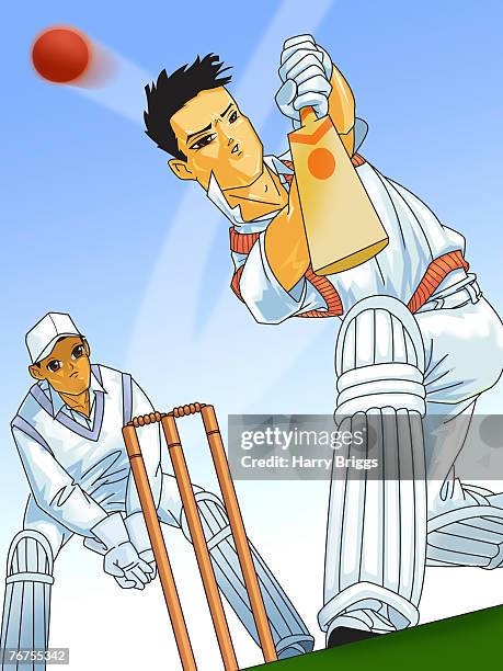 men playing cricket - tire swing stock illustrations