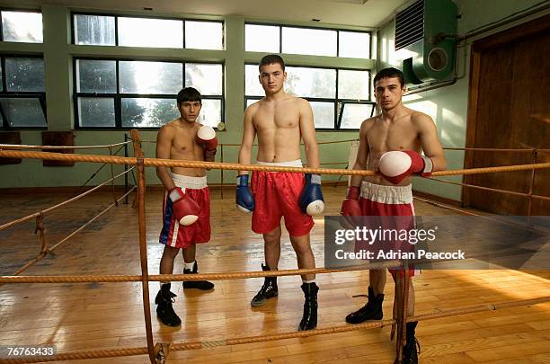 Model Boxer Fotografías e imágenes de stock - Getty Images