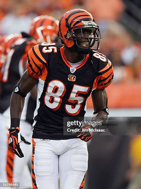 Chad Johnson of the Cincinnati Bengals looks on against the Baltimore Ravens during their season opening game on September 10, 2007 at Paul Brown...
