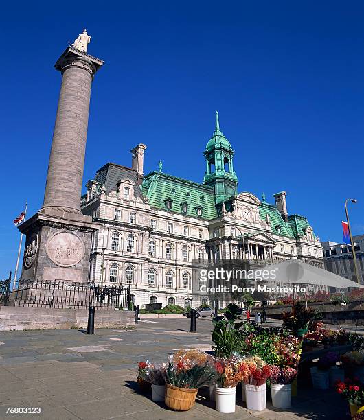 place jacques cartier and montreal city hall, quebec, canada - hotel de ville montreal stock pictures, royalty-free photos & images