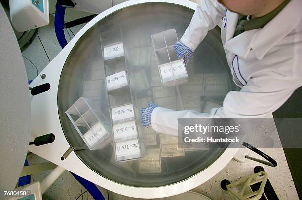 cryogenics technician with samples - nebelmaschine stock-fotos und bilder