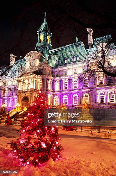 city hall with illuminated christmas trees, quebec, canada - montréal stock-fotos und bilder