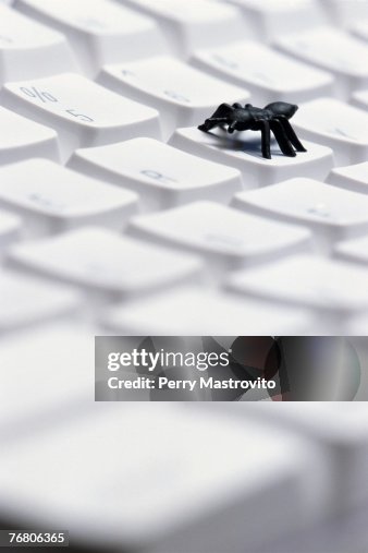 Black plastic bug on computer keyboard, computer bug concept Black plastic bug on computer keyboard, computer bug concept