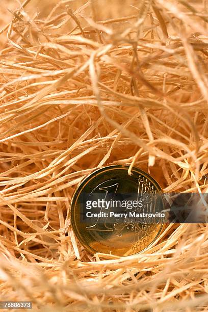 one euro coin on hay stack - needle in a haystack 英語の慣用句 ストックフォトと画像