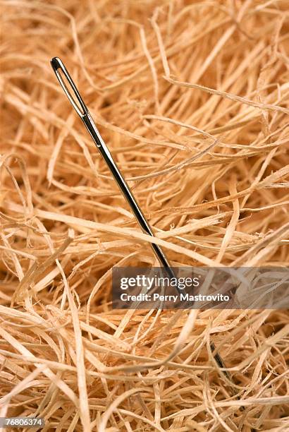 Digging Needle Hay Stack 82 Hay Stack Needle Stock Photos, High-Res Pictures, and Images - Getty ...