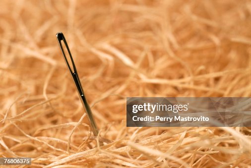 Needle in hay stack Needle in hay stack