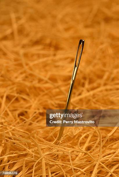 needle in hay stack - needle in a haystack 英語の慣用句 ストックフォトと画像