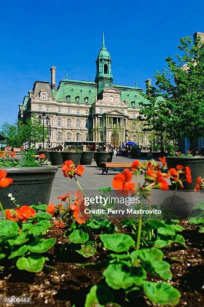 place jacques cartier and city hall, old montreal, quebec, canada - place jacques cartier stock pictures, royalty-free photos & images