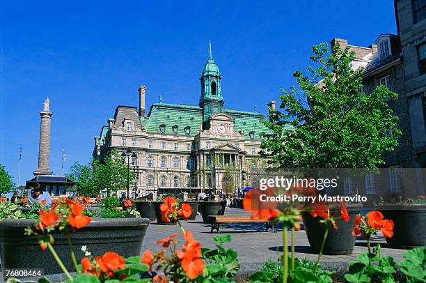 place jacques cartier and city hall, old montreal, quebec, canada - vieux montréal stock pictures, royalty-free photos & images