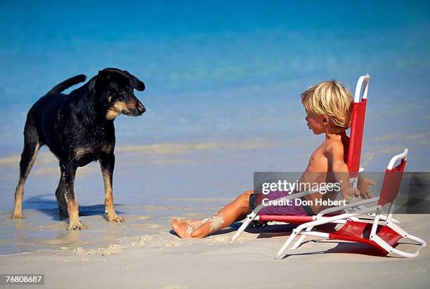boy with dog on beach - kids swimsuit models stockfoto's en -beelden