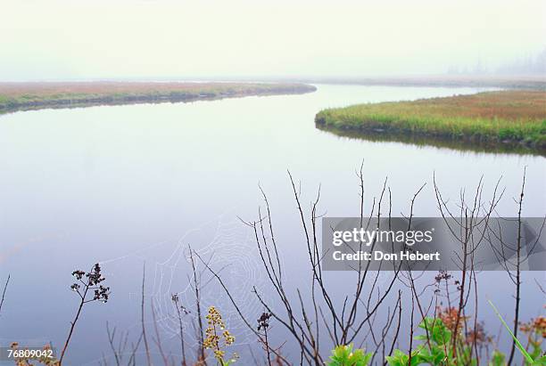 Riverbend Example 795 Riverbend Park Stock Photos, High-Res Pictures, and Images - Getty ...