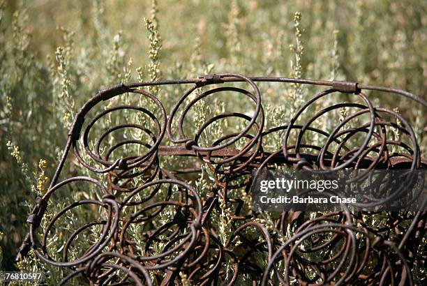 50 Box Spring Bed Stock Photos, High-Res Pictures, and Images - Getty ...