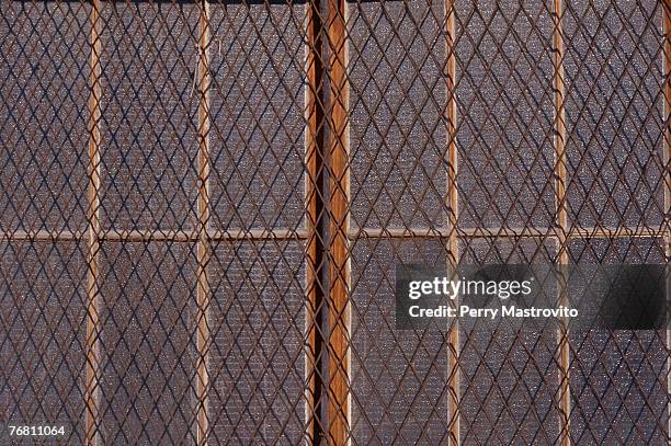 Mesh Display Window 150 Mesh Screen Window Stock Photos, High-Res Pictures, and Images ...