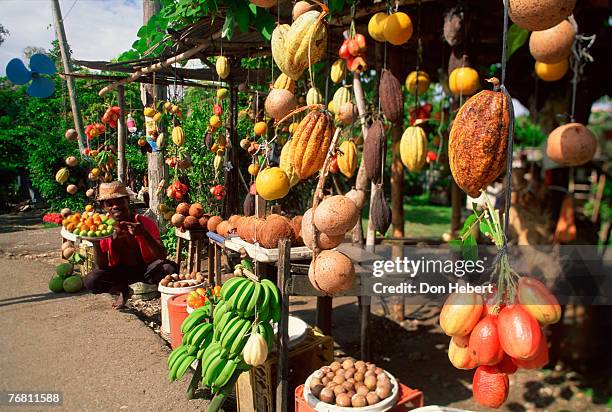 roadside produce stand, jamaica - jamaica people stock pictures, royalty-free photos & images