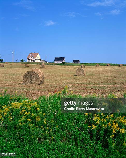 Ed Hay 140 Edward Hay Stock Photos, High-Res Pictures, and Images - Getty Images
